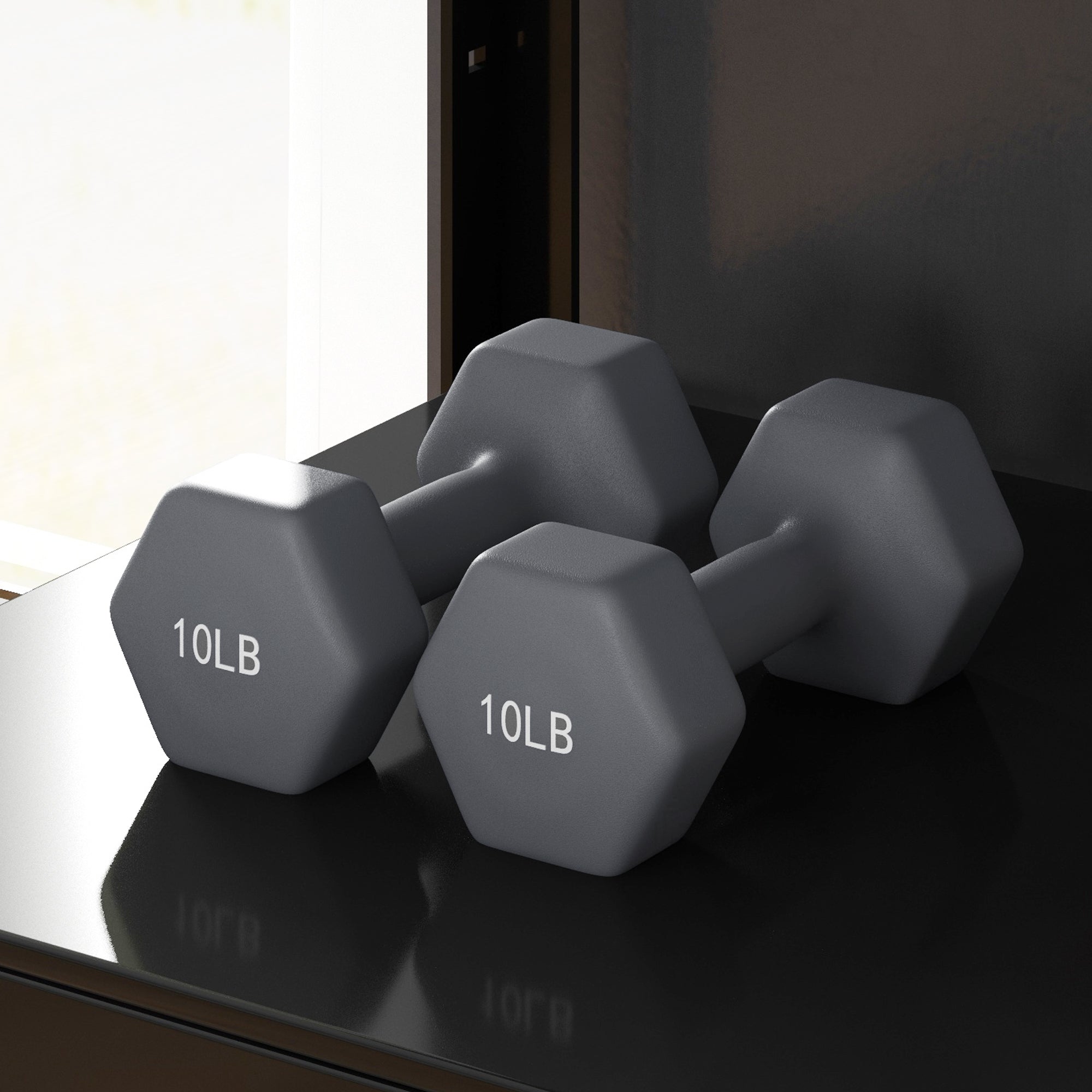 2 x 10LBS Hexagonal Dumbbells, Set of 2 Weights with Non-Slip Grip for Home Gym Workout Dumbbells & Barbells at Gallery Canada