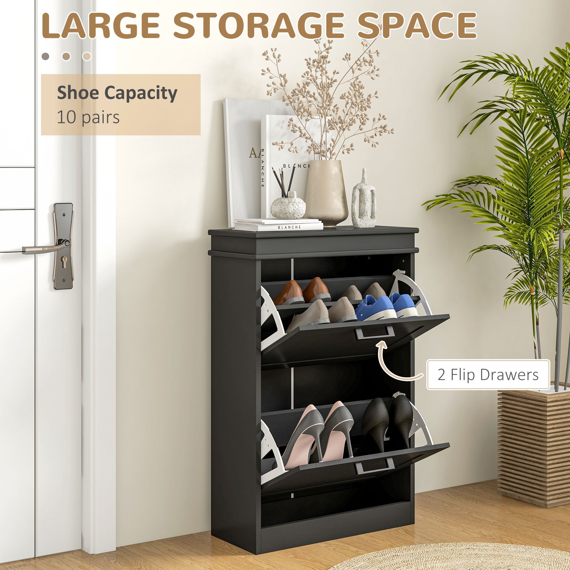 Shoe Storage Cabinet with 2 Flip Drawers and Adjustable Shelves, Narrow Shoe Cabinet for 10 Pairs of Shoes, Black Shoe Storage Cabinets & Racks   at Gallery Canada