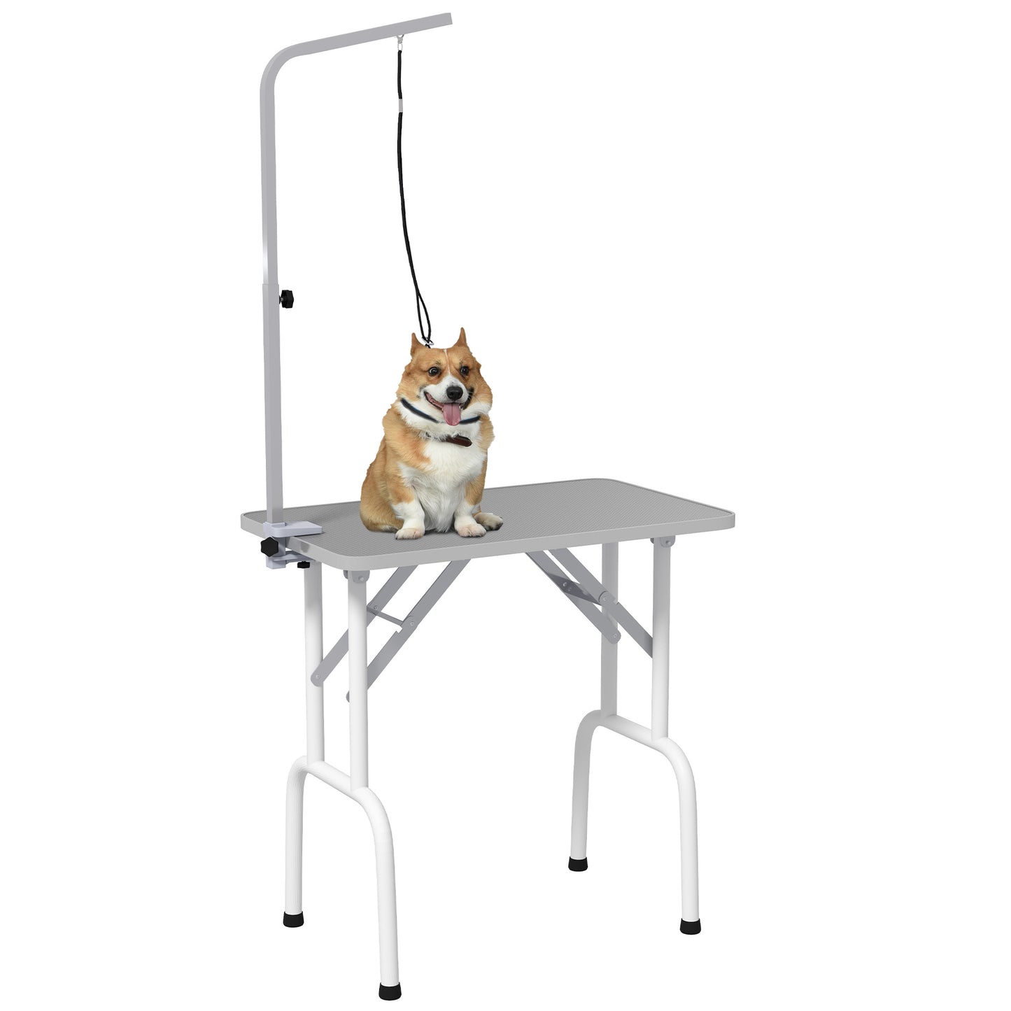 Foldable Pet Grooming Table for Dogs Cats with Adjustable Arm, Non-slip Surface, Grey Dog Grooming Tables   at Gallery Canada