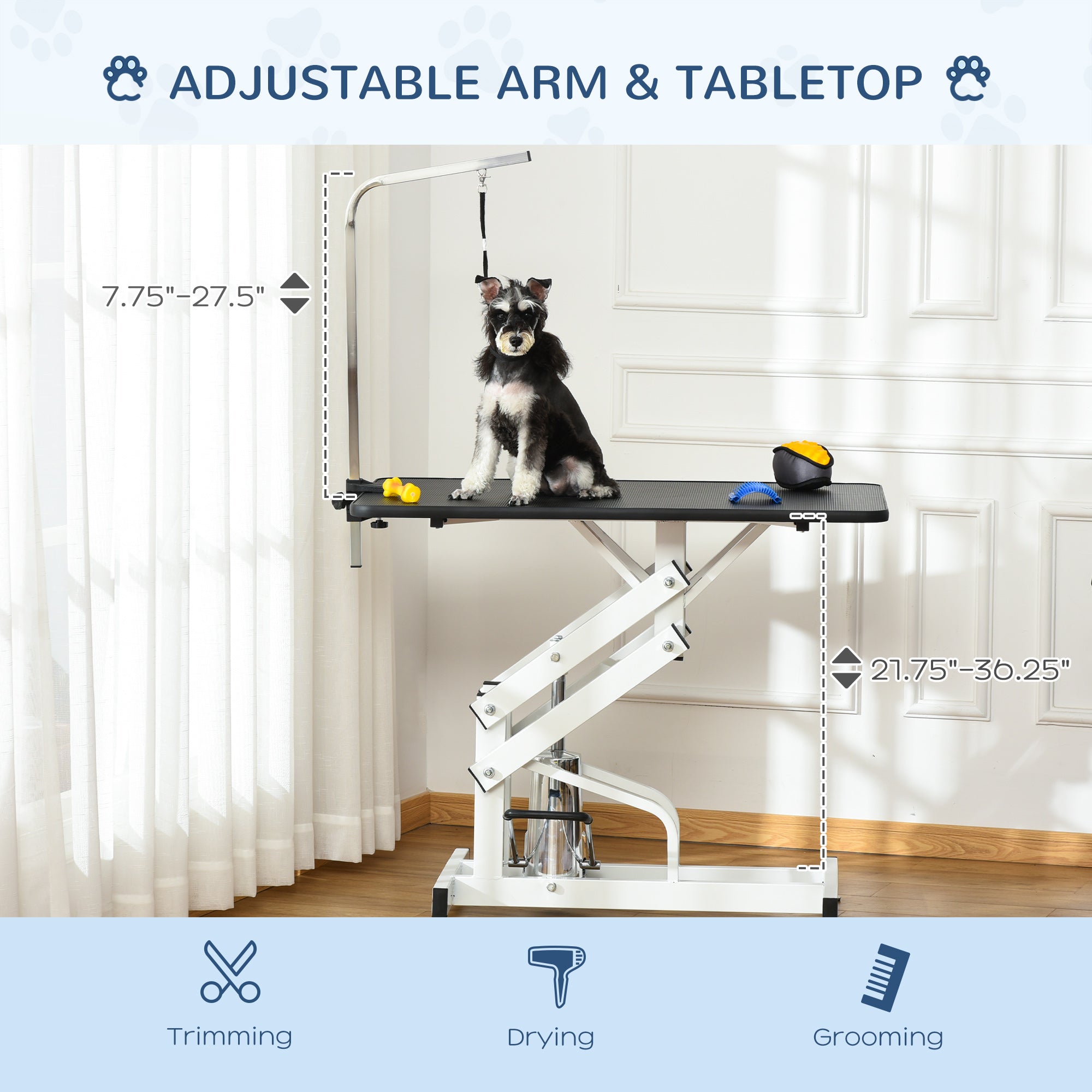 Pet Grooming Table, Height Adjustable Dog Grooming Table with Arm, Noose and Non-Slip Grooming Table, Black Dog Grooming Tables at Gallery Canada