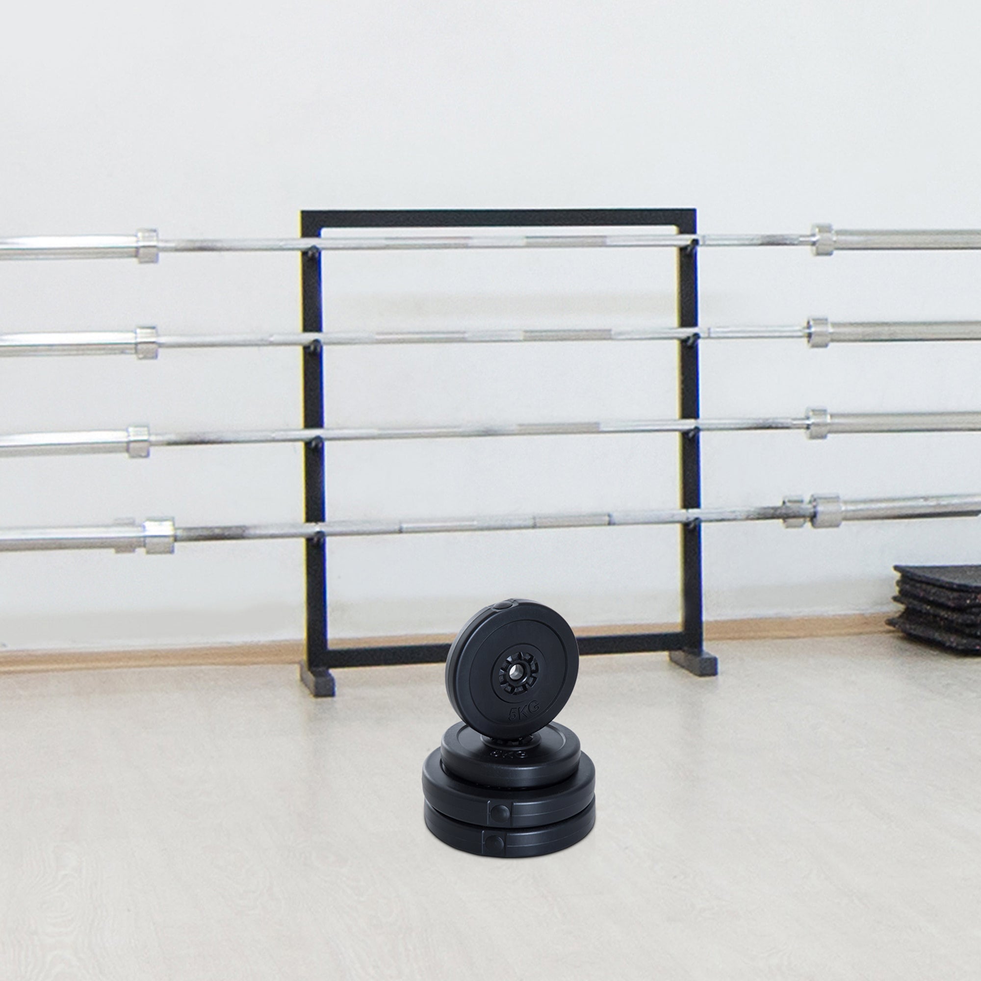 4 Piece dumbbell Weight Plates Set 2 x 11lbs and 2 x 22lbs Black (Weights Only) Dumbbells & Barbells at Gallery Canada