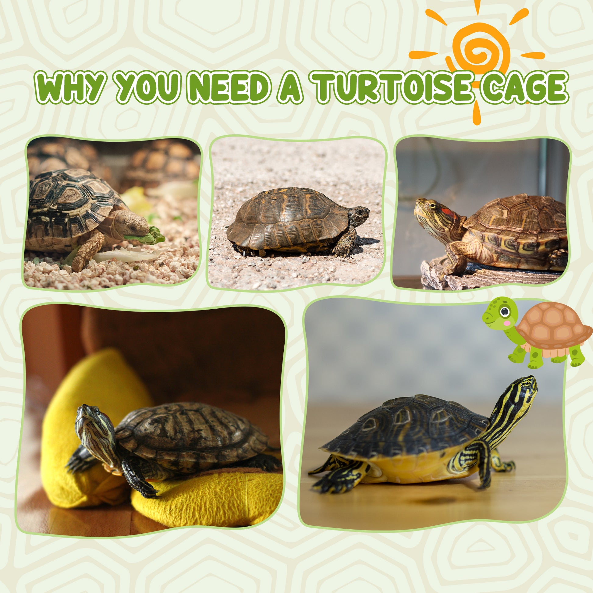 Wooden Tortoise Enclosure with Two Room Design, for Indoor Use, 37" x 25" x 13", Nature Wood Houses & Habitats   at Gallery Canada