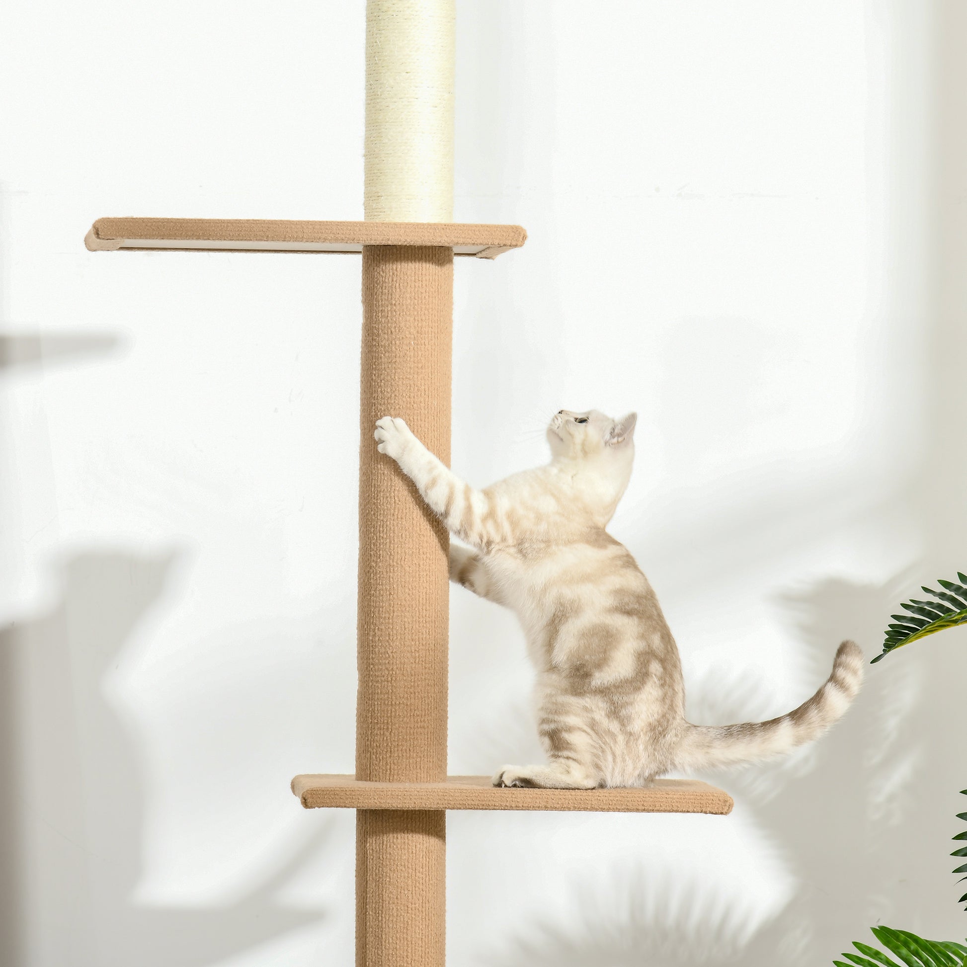 100" Floor To Ceiling Cat Tree w/ 3 Perches Activity Center for Kittens Cat Tower Furniture, Brown Floor to Ceiling Cat Trees at Gallery Canada