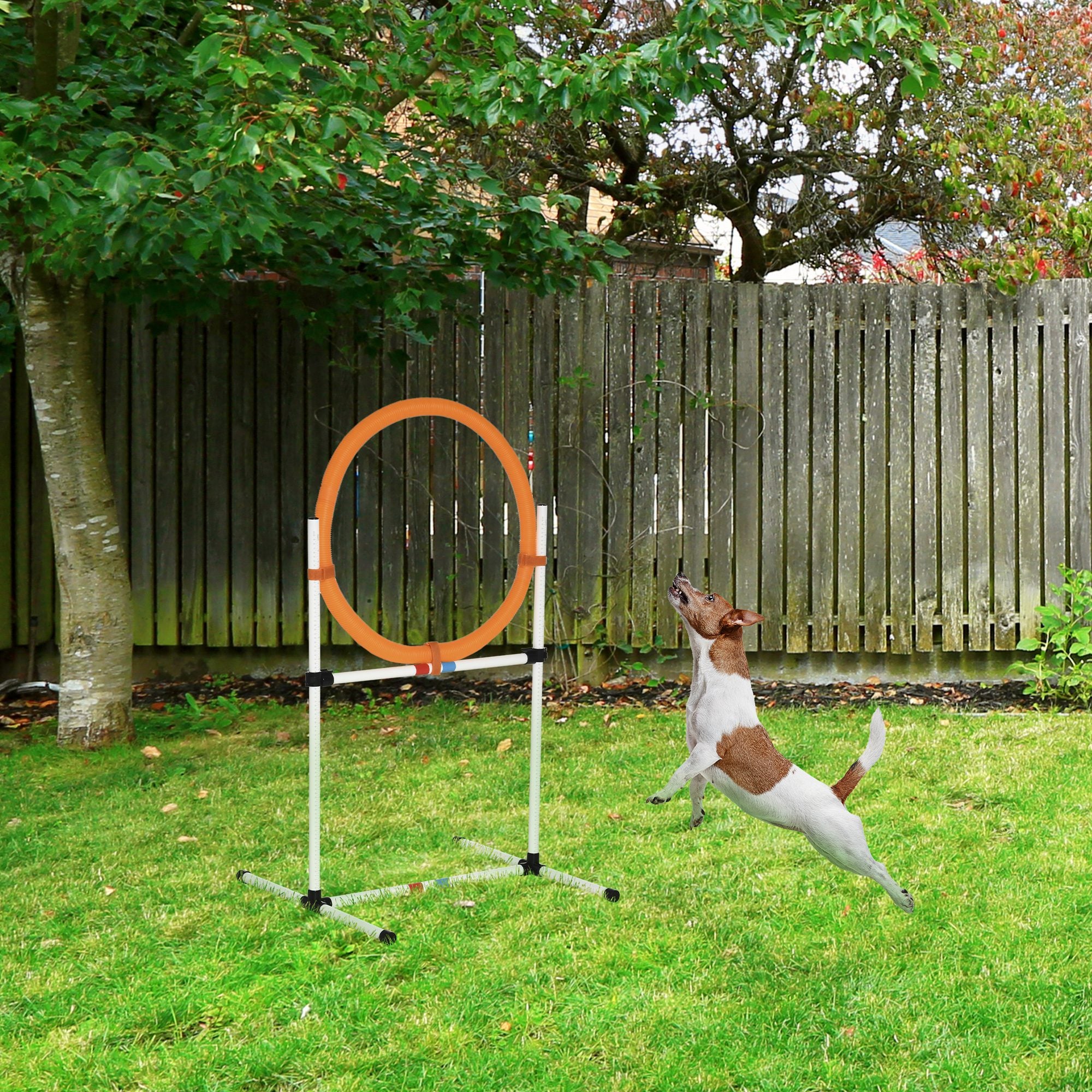 2-in-1 Dog Obstacle Training Agility Equipment Tire Jump Ring/Hurdle Bar with a Simple &; Easy Setup &; Storage Bag Dog Agility Training Equipment at Gallery Canada