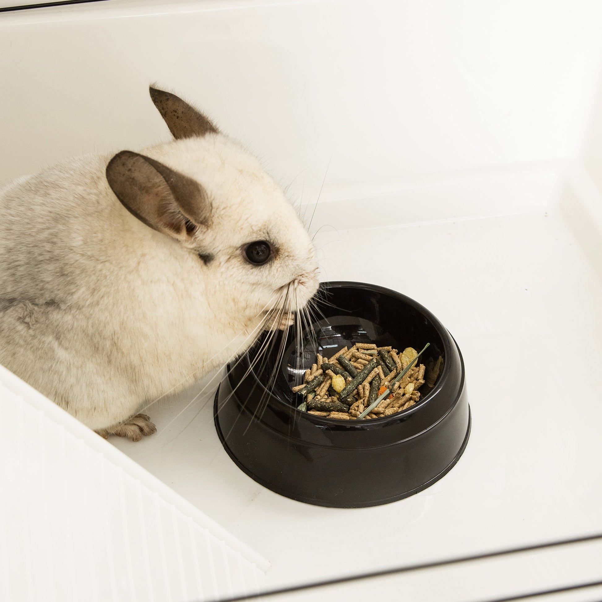 Portable Small Animal Cage with Hammock, Water Bottle, Food Dish, Ramps, 31.5"x19"x31", Multi Colour Houses & Habitats   at Gallery Canada