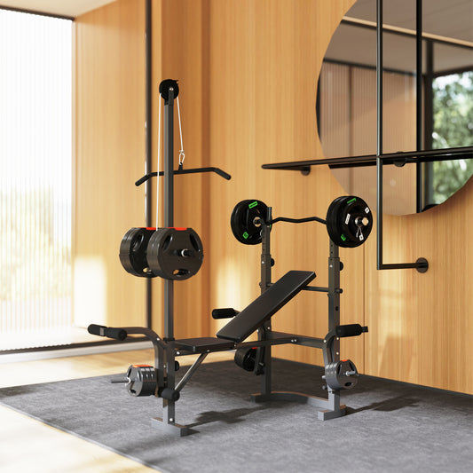 Adjustable Weight Bench with Bench Press Rack, Preacher Curl Bench, Leg Extension and Lat Pull Down Weight Benches at Gallery Canada