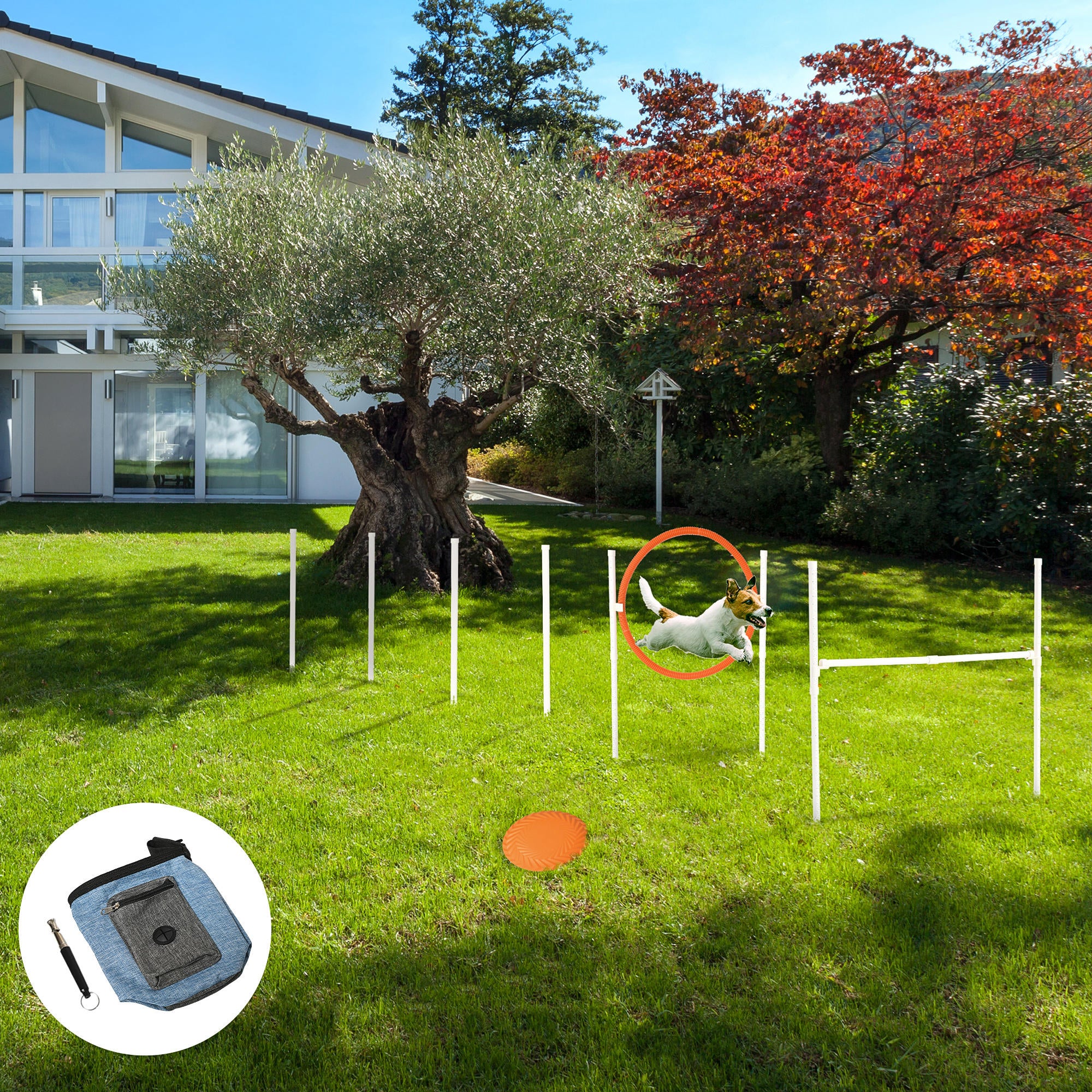 5 Pieces Dog Agility Training Equipment with Disc, Whistle, Weaves Poles, Adjustable Jumping Poles, Food Bag, Carry Bag Dog Agility Training Equipment at Gallery Canada