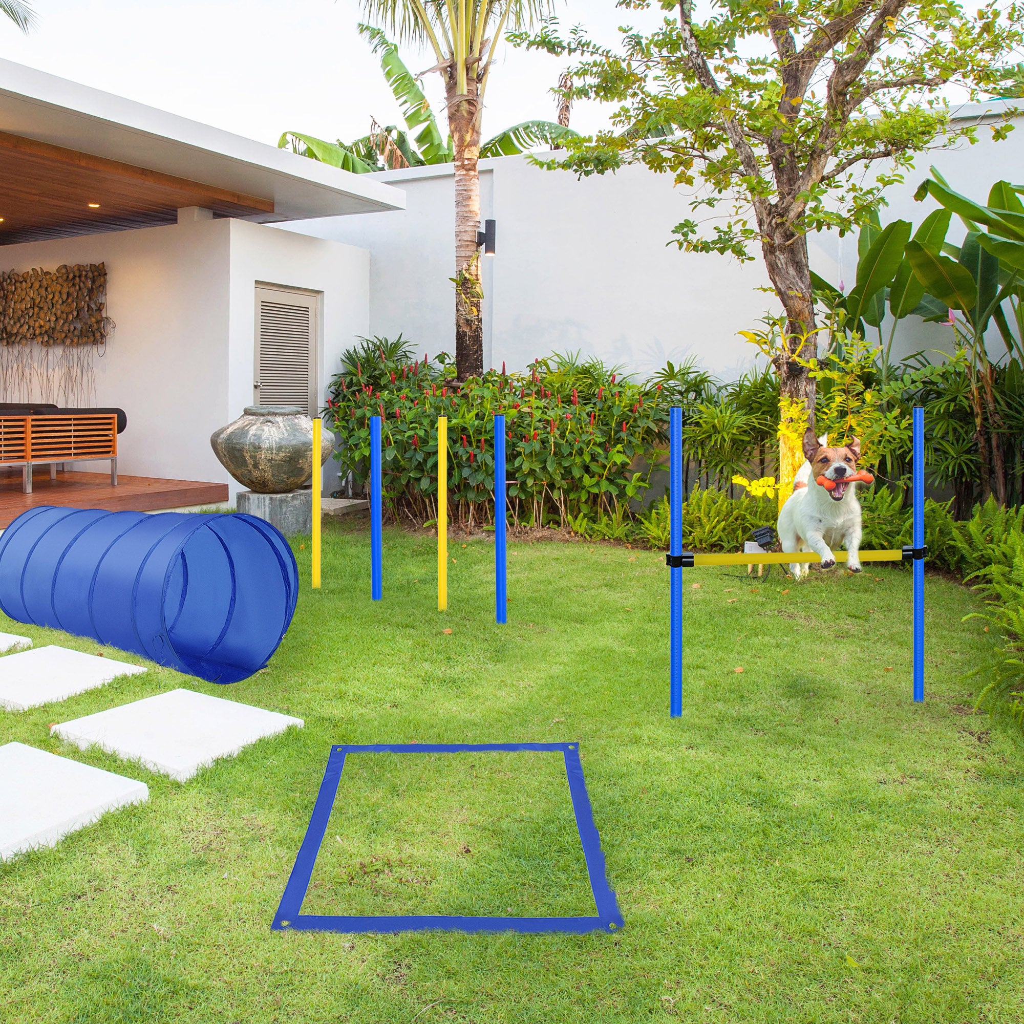Dog Agility Starter Kit Pet Outdoor Exercise Training Set Tunnel 4 Weave Poles High Jumper Dog Agility Training Equipment at Gallery Canada