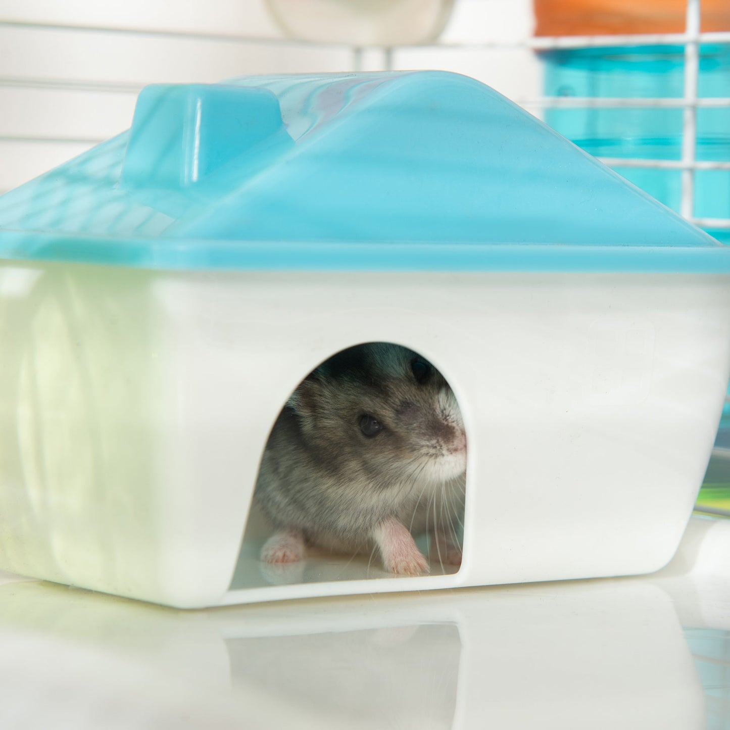 31" Large Hamster Cage, Small Animal House, Multi-storey Gerbil Haven, Tunnel Tube System, with Water Bottle, Exercise Wheel, Food Dish, Ramps, Blue Hamster Cages   at Gallery Canada