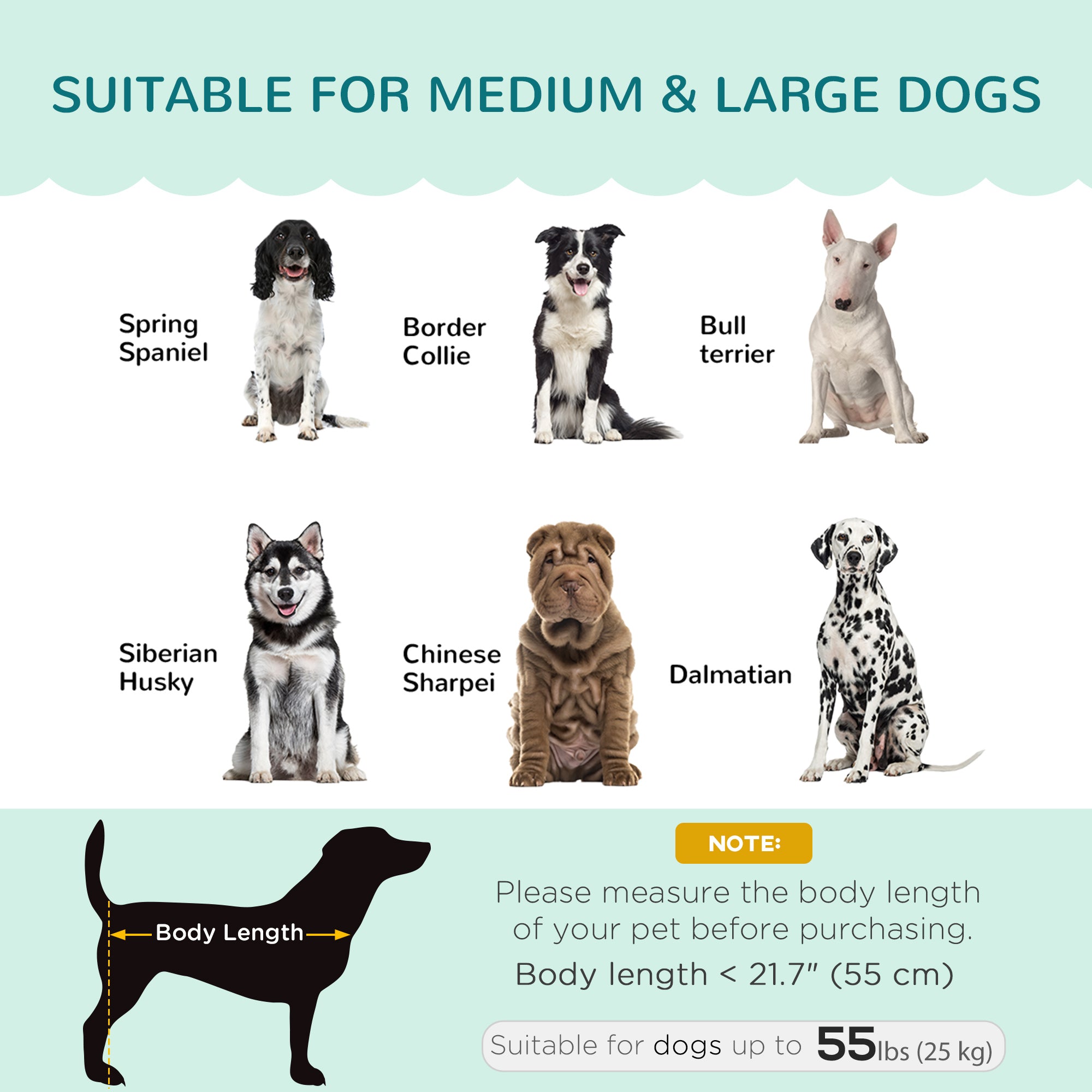 Dog Sofa with Removable Cushion Wood Legs for Medium and Large Dogs, Green Dog Sofas at Gallery Canada