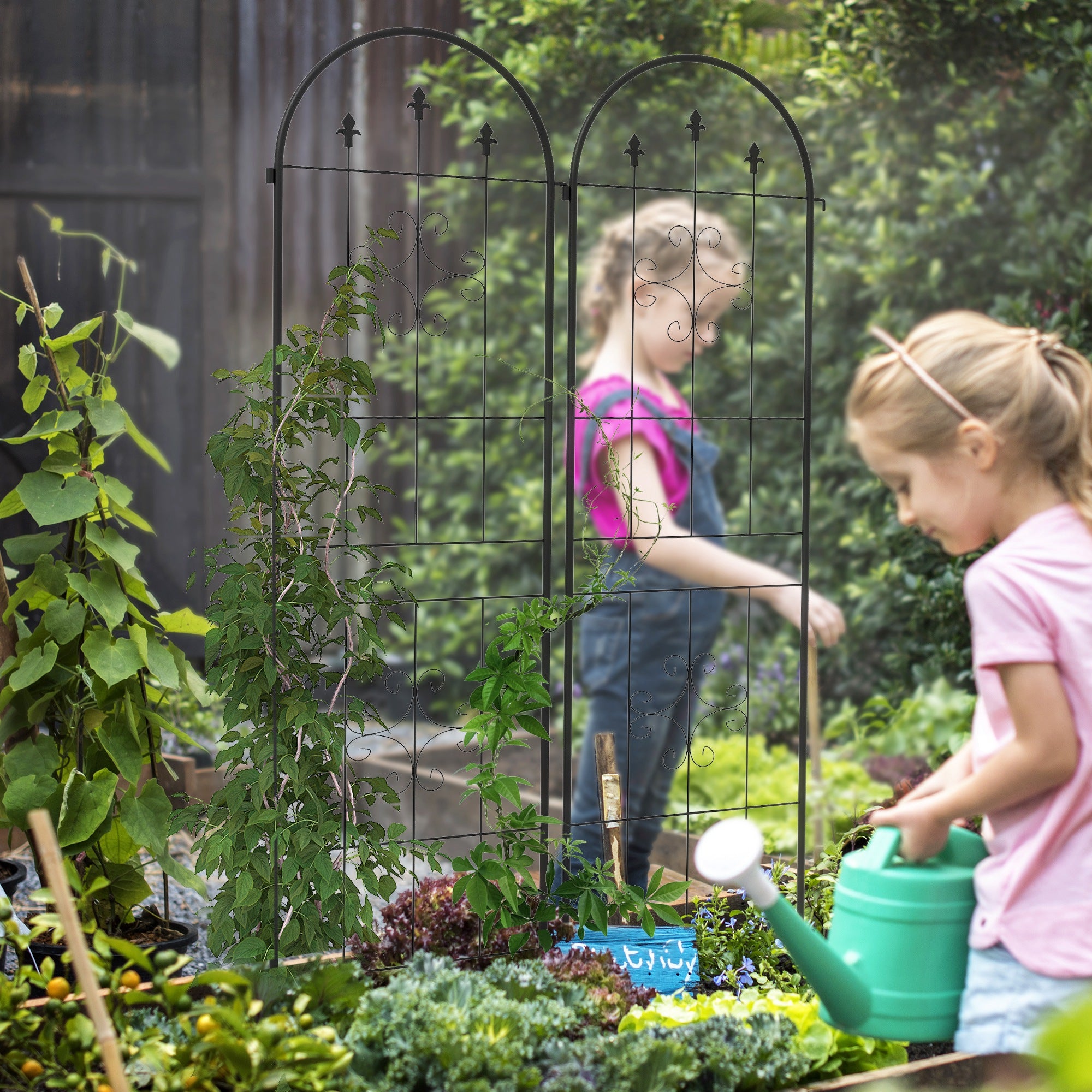 Metal Trellis Set of 2, Garden Trellis for Climbing Plants Support Frames, Arrow Design Plant Stands at Gallery Canada