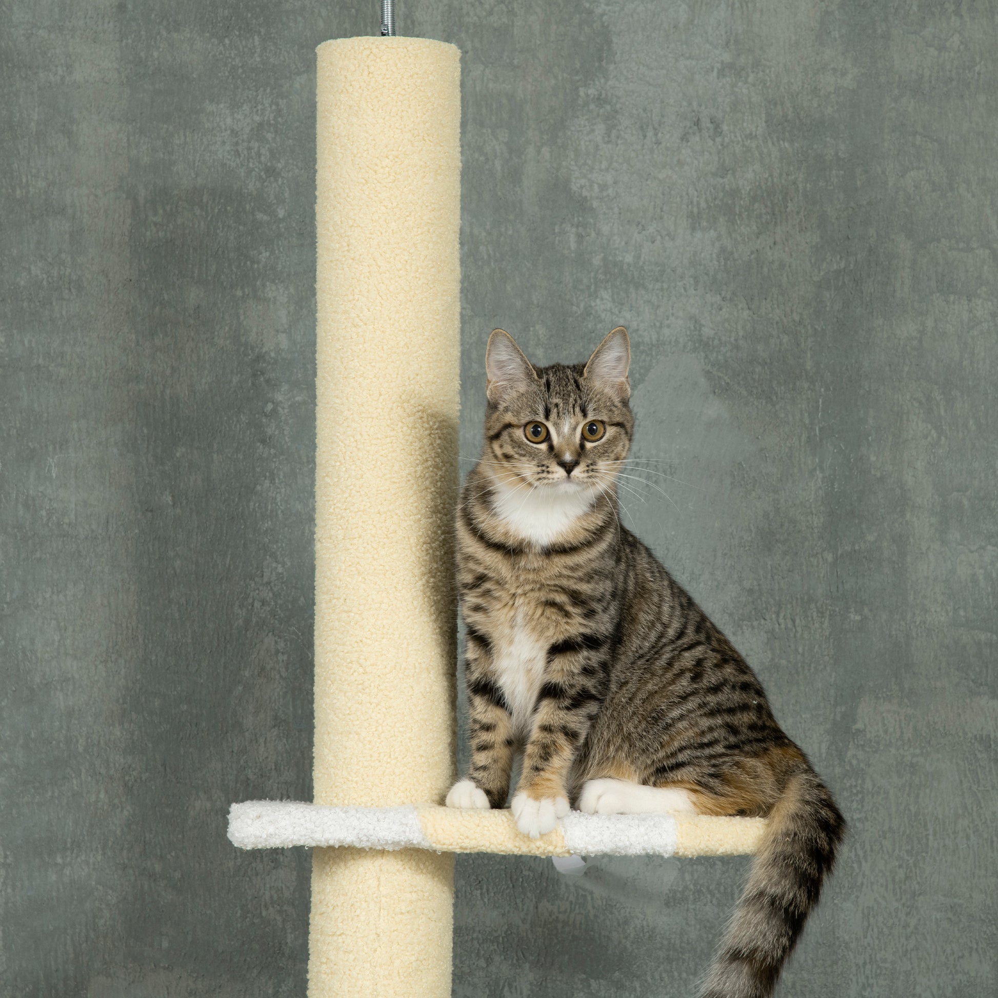 87"-102" Floor to Ceiling Cat Tree w/ Sisal Scratching Posts, Anti-tip Kit, Perches, Toy Ball, Yellow Floor to Ceiling Cat Trees   at Gallery Canada