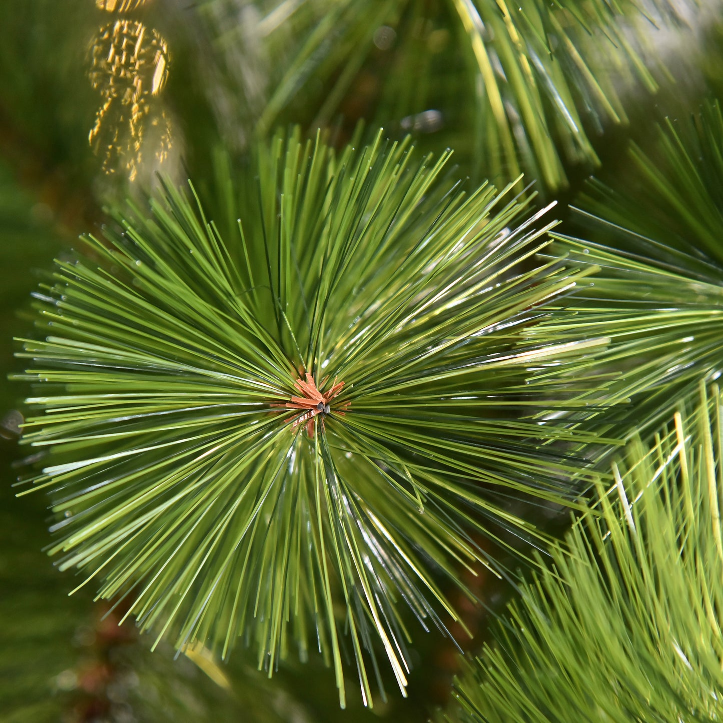 6.8 FT Christmas Tree Artificial Pine Tree Christmas Decoration 505 Branches Artificial Christmas Trees   at Gallery Canada